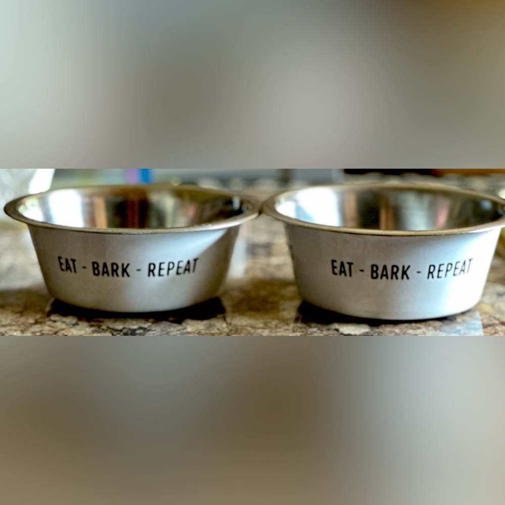Eat - Bark - Repeat, Medium Size dog bowls, stainless steel White